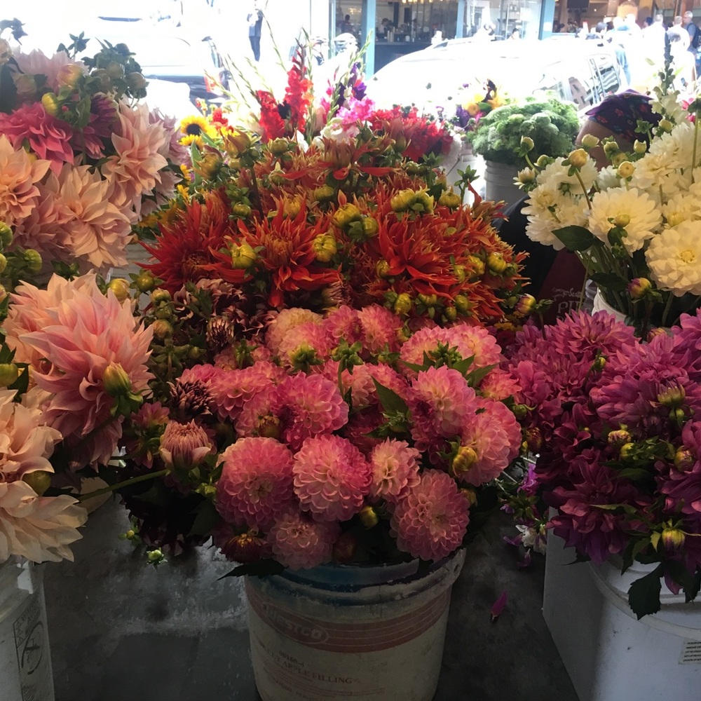 Meet your Posher, Finding Fashion